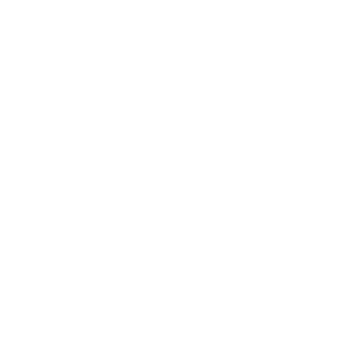 TrippDay